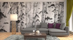 Woonkamer fotobehang Berkebomen
